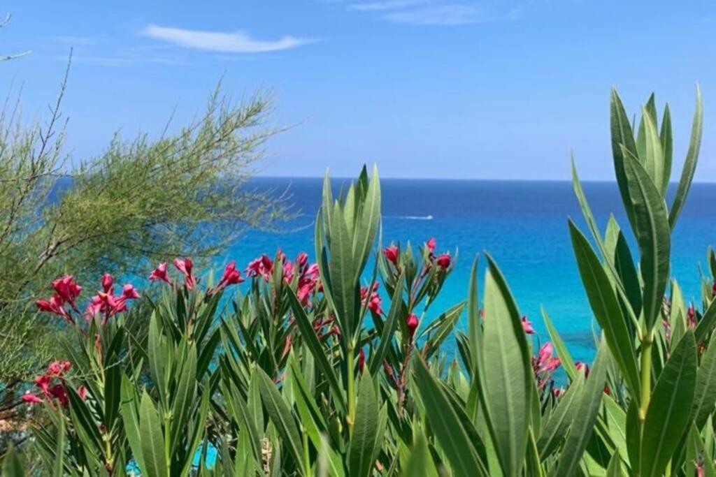 Boutique Apartment With Beach Within Walking Distance, Near Tropea Паргелия Экстерьер фото